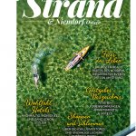 Nächster Artikel
