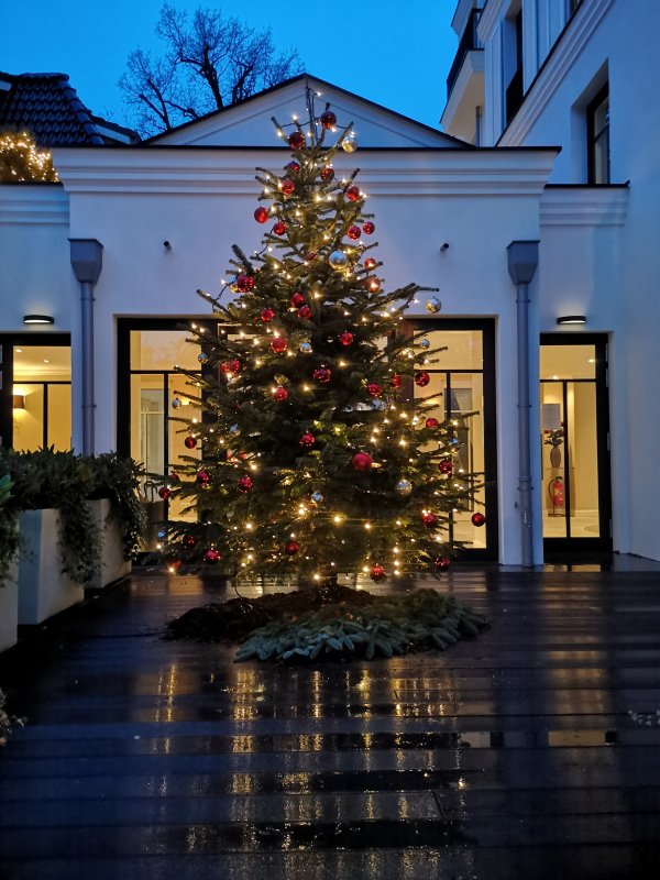 WEIHNACHTSBAUMSCHMÜCKEN 2021 WEIHNACHTSBAUMSCHMÜCKEN 2021
